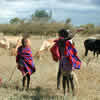 Maasai herdsboys.