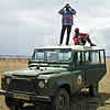 Scanning for wildlife.
